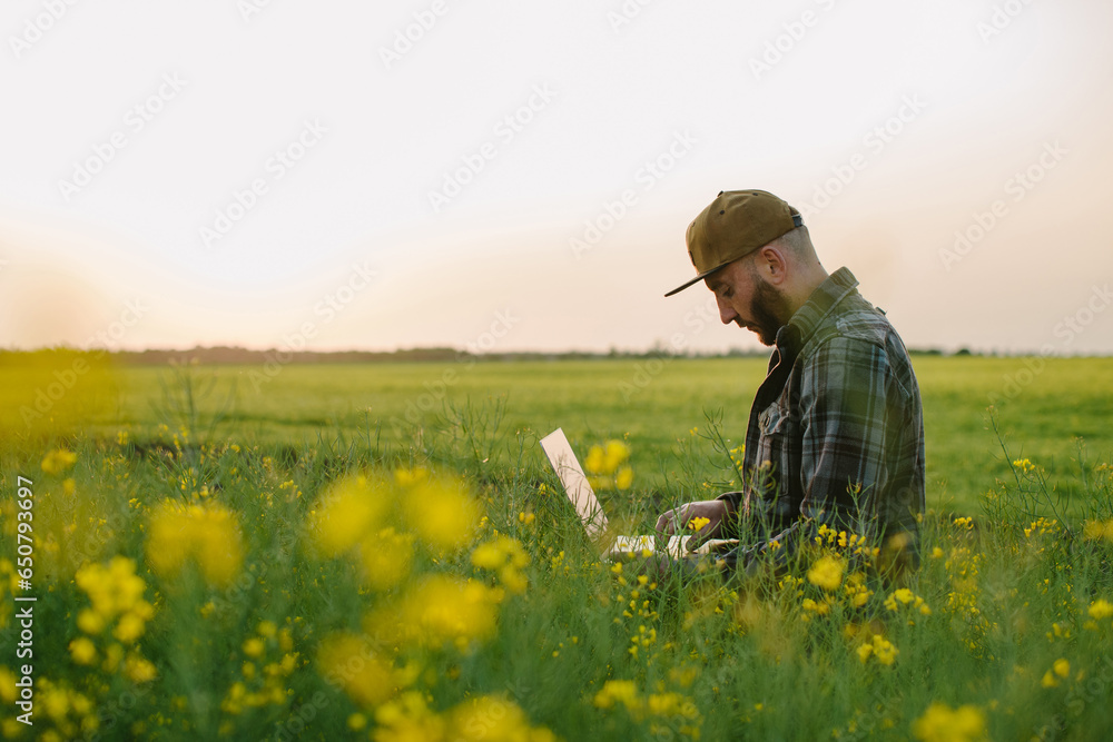 An agronomist inspects rapeseed crops growing on a farm. The concept of agricultural production. A farmer with a laptop in a rapeseed field at sunset. - obrazy, fototapety, plakaty 