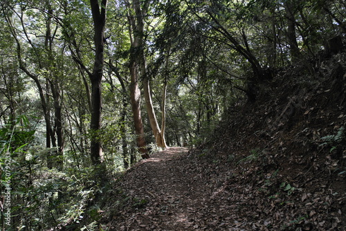 津久井湖城山の景色　View of Lake Tsukui Joyama photo