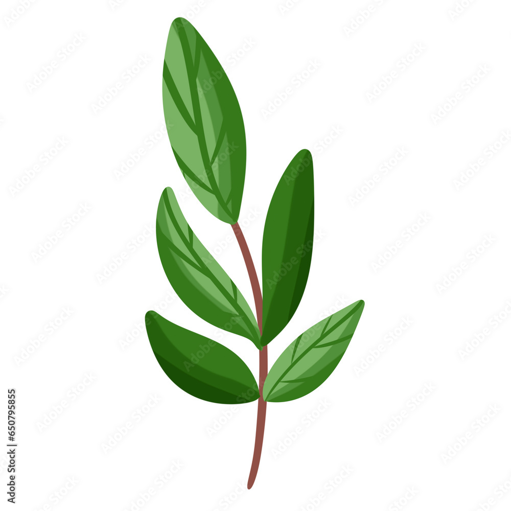 green leaves isolated on white background green leaves isolated on white background
