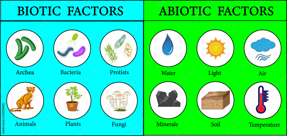 Biotic and Abiotic Factors in the Environment.Vector illustration