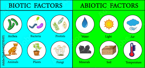 Biotic and Abiotic Factors in the Environment.Vector illustration photo