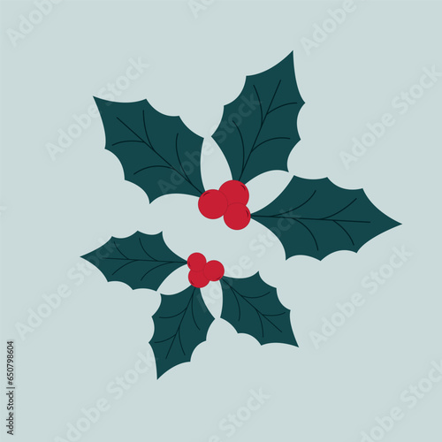 Symbol of the Christmas plant is holly berries.