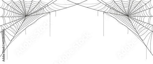 Vector line of spider web, halloween background