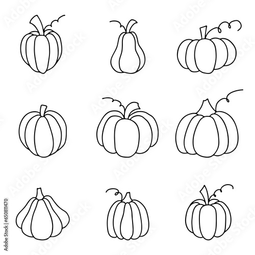 Outlined pumpkin. Set of pumpkins in doodle style. Vector illustration on white background