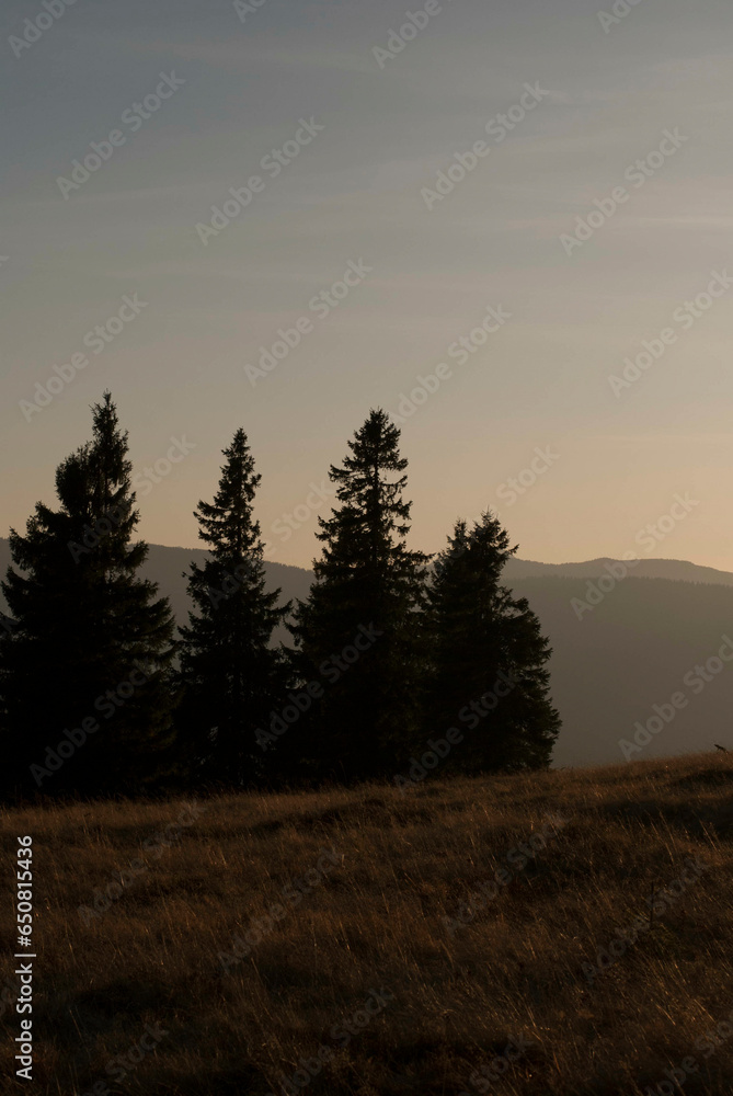 View of mountains under sunset sky with trees