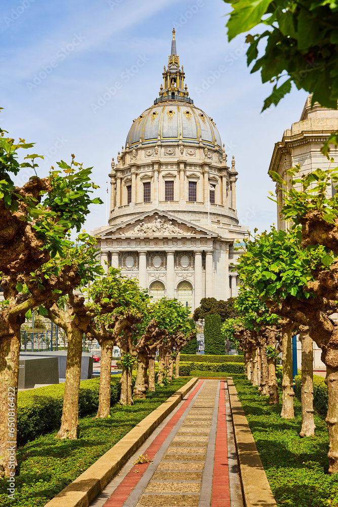 Pathway through trees in city hall memorial court in San Francisco