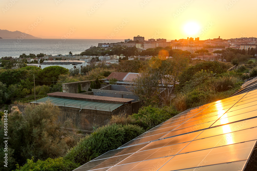 Fototapeta premium The setting sun is reflected in solar panels installed on a hillside with the city and the sea in the background. Example of installation and use of solar panels. Concept of green energy.