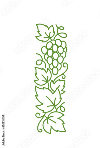 Grape design element. Vine leaves. Editable outline stroke. Vector line.