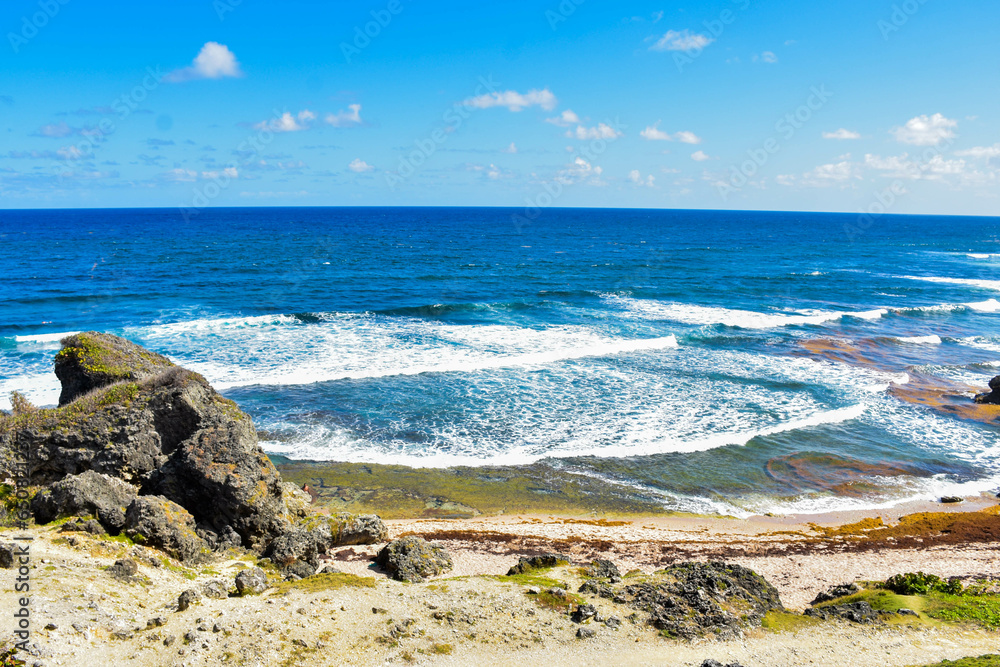 Landscape View to beach in and stone Barbados, Country in the Caribbean