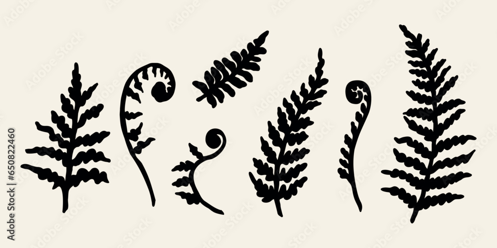 Flat vector fern branch illustration	