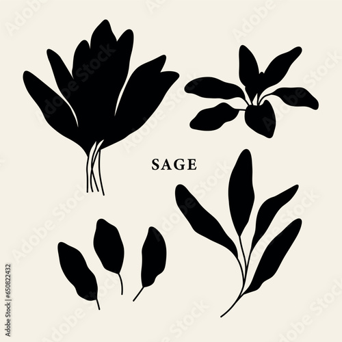 Set of flat vector sage branches