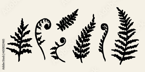 Flat vector fern branch illustration	