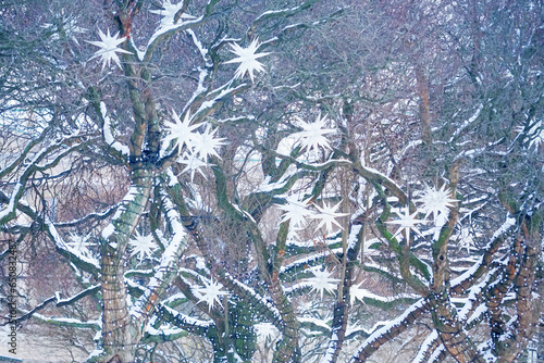 Winter decorations on the street, snowstorm. Beautiful winter, paper white snowflakes lanterns on tree branches