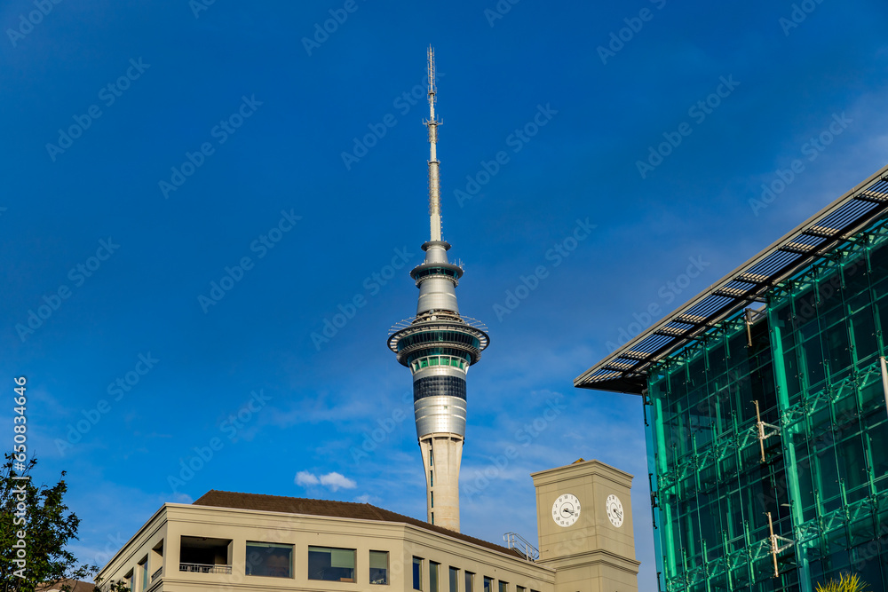 Fototapeta premium The Sky tower in Auckland