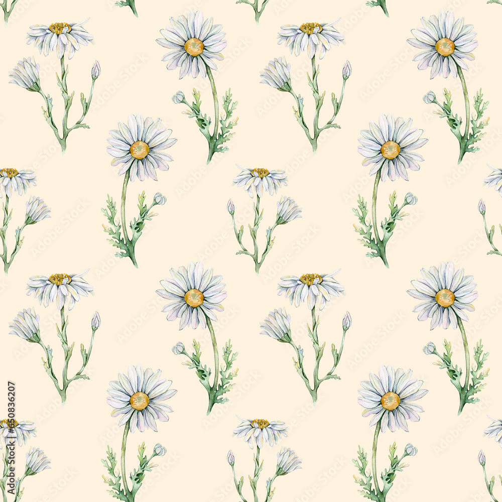 Seamless pattern with watercolor chamomiles. Seamless pattern with watercolor chamomiles.