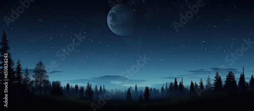 Nighttime forest with a starry sky and full moon above creating a serene ambiance