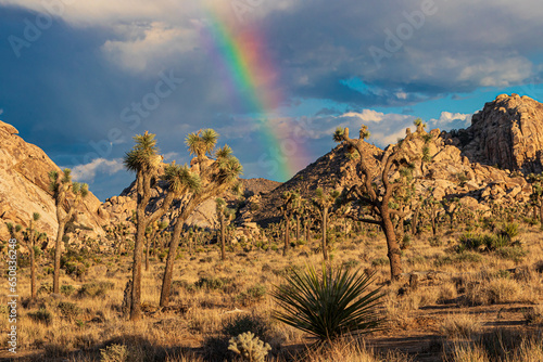 landscape in the mountains with rainbow
