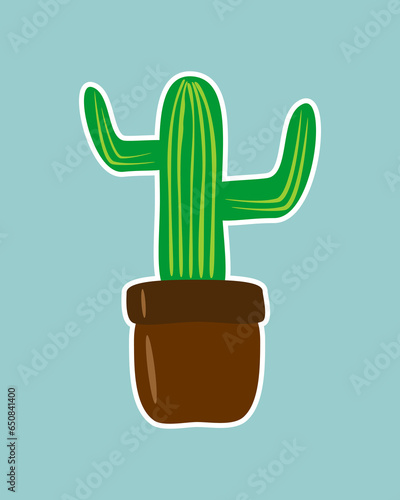cactus in a pot