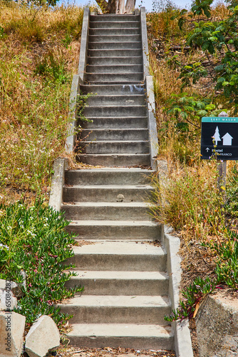 Hill covered in weeds and succulents with stairs going up in the middle and a sign post
