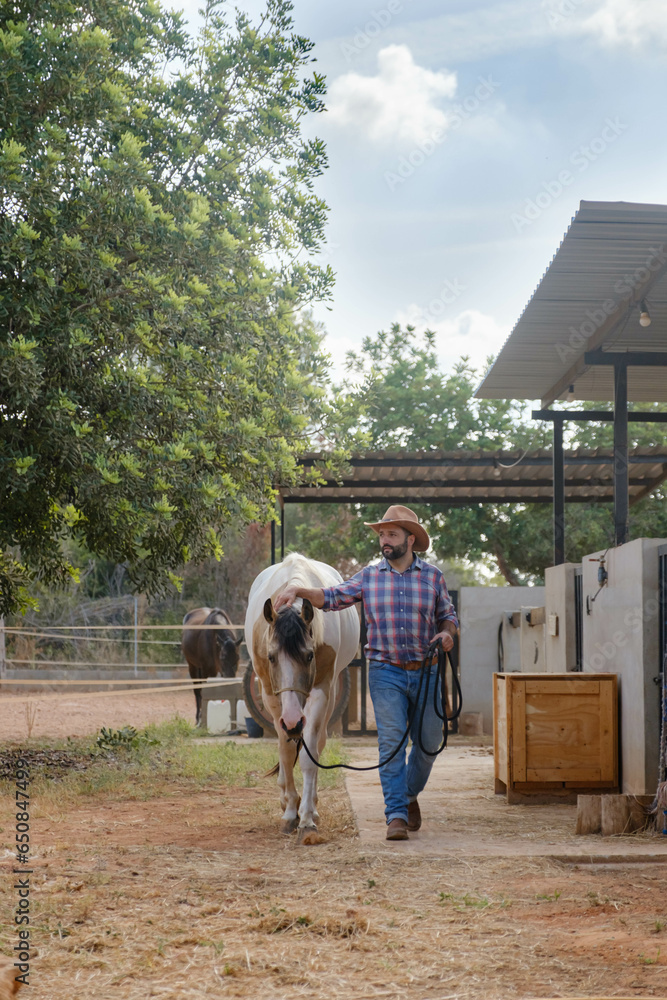 western man grooming and feeding his horses on his ranch