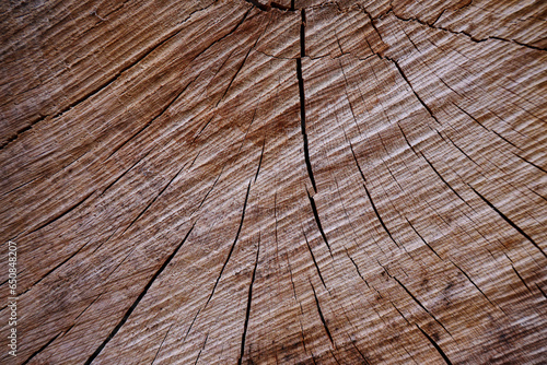 Surface of timber background. Wood texture background. 