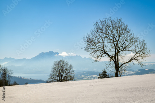 Incredible view on Mount Pilatus and Vierwaldstattersee from top of Zugerberg photo