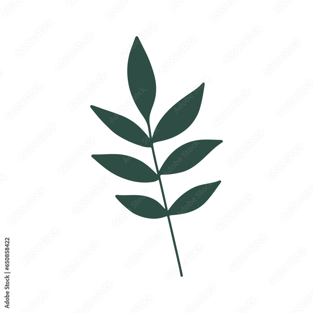 Botanical green leave, herb and branch. Hand drawn floral design element. Perfect leave for wedding invitations, greeting cards, blogs, posters and more. Concept use botanical leave in floral design