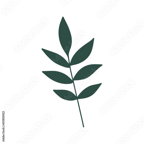 Botanical green leave  herb and branch. Hand drawn floral design element. Perfect leave for wedding invitations  greeting cards  blogs  posters and more. Concept use botanical leave in floral design