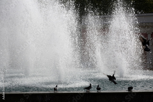fountain in the city