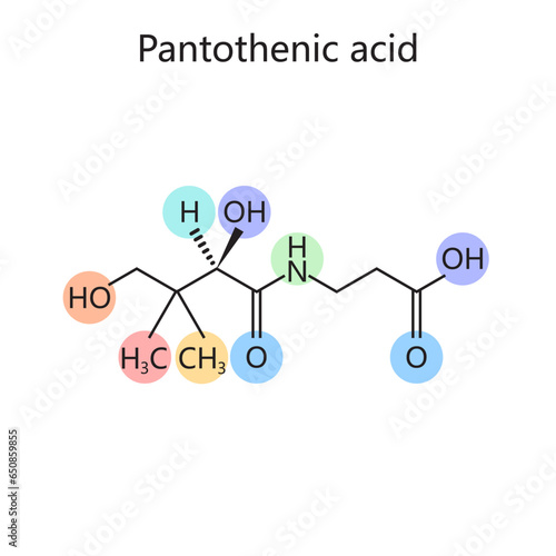 Chemical organic formula of Pantothenic acid vitamin B5 diagram schematic vector illustration. Medical science educational illustration