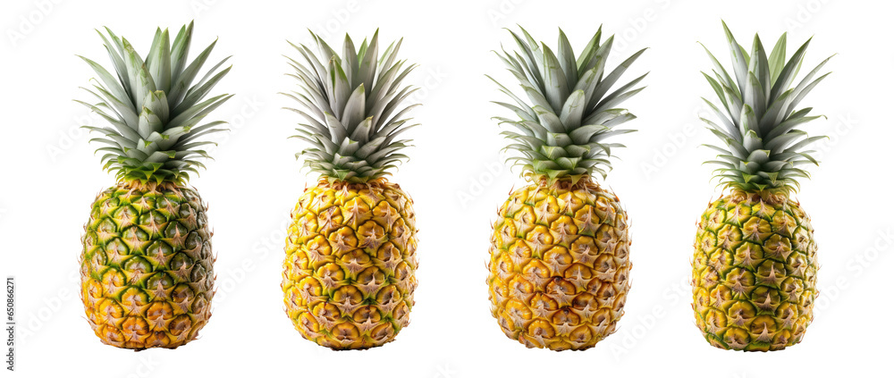 A collection of assorted whole pineapples on a white or transparent background. PNG. The pineapples are yellow and spiky, and the leaves are green and spiky. A collection of assorted whole pineapples on a white or transparent background. PNG. The pineapples are yellow and spiky, and the leaves are green and spiky.