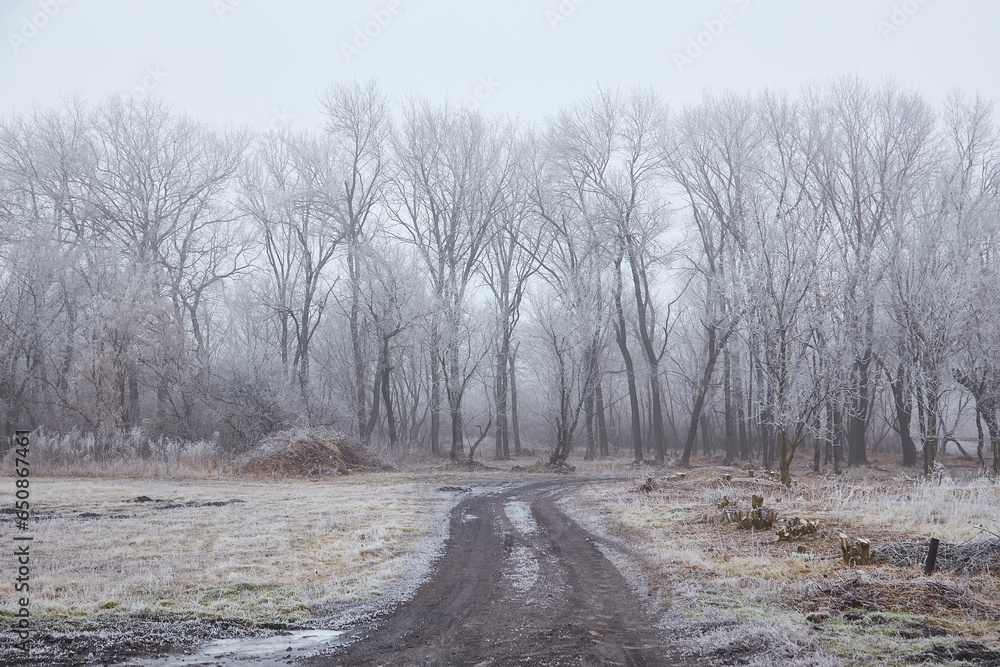 The Beginning of Winter The Beginning of Winter