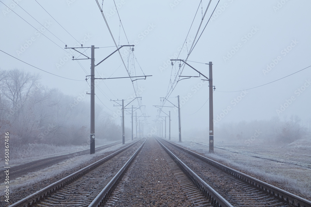 Vanishing Rails in Winter Mis