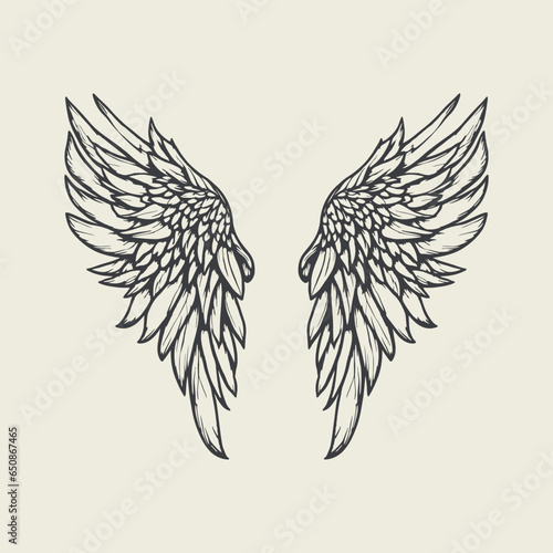 Vector hand drawn wing illustration and art