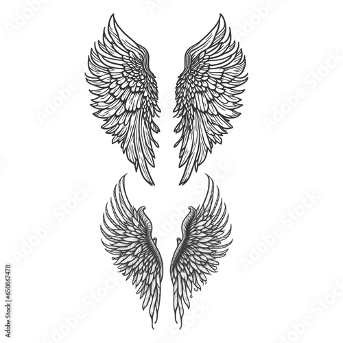 Vector hand drawn wing illustration and art