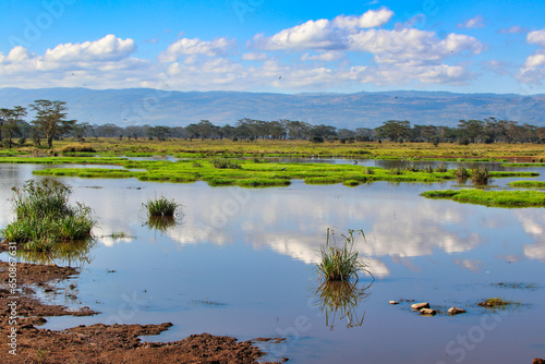Lake Nakuru wetlands are a prime habitat for over 300 bird species and animals in Kenya