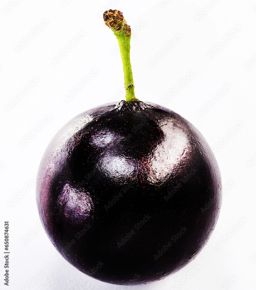 Fototapeta premium The jabuticaba or jabuticaba is a purplish black-white fruit, typical fruit of Brazil, on isolated white background