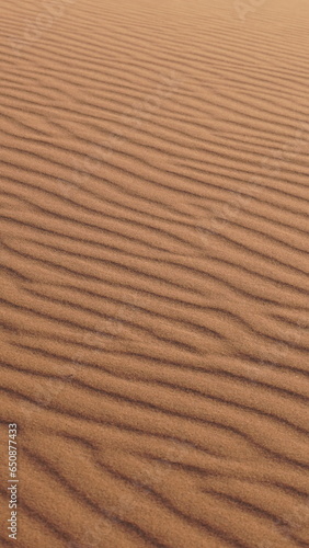 Fototapeta Naklejka Na Ścianę i Meble -  dune du sahara