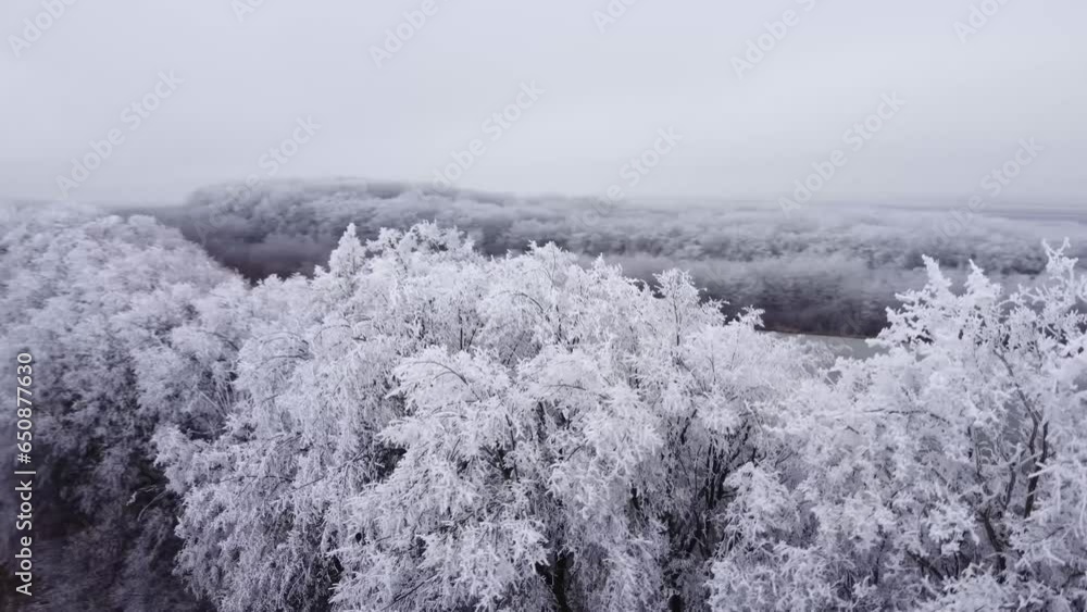 Aerial video of a forest covered with frozen trees and snow on a foggy day Aerial video of a forest covered with frozen trees and snow on a foggy day
