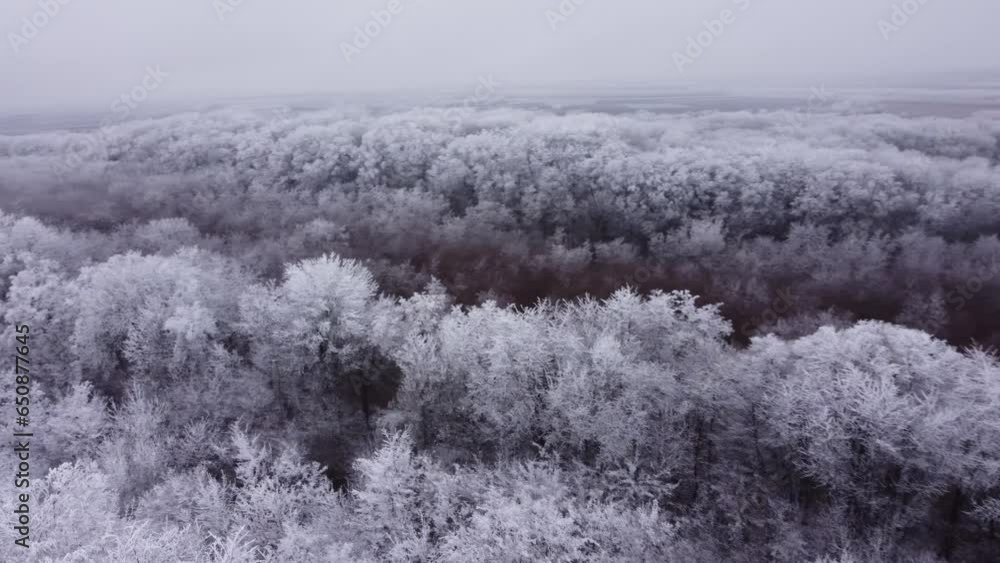 Aerial video of a road surrounded by frozen trees in the winter forest Aerial video of a road surrounded by frozen trees in the winter forest