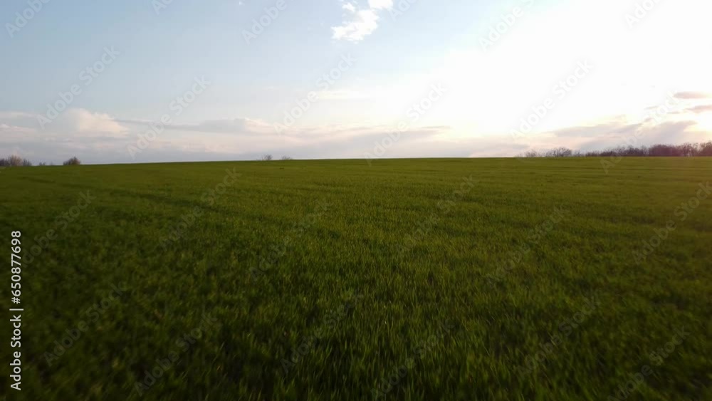 Drone view over an empty green field during the golden hour Drone view over an empty green field during the golden hour