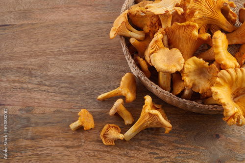 Forest Mushrooms chanterelles on a wooden old background.