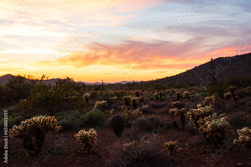 Sunset at Apache Wash Trailhead in Phoenix, Arizona, USA.