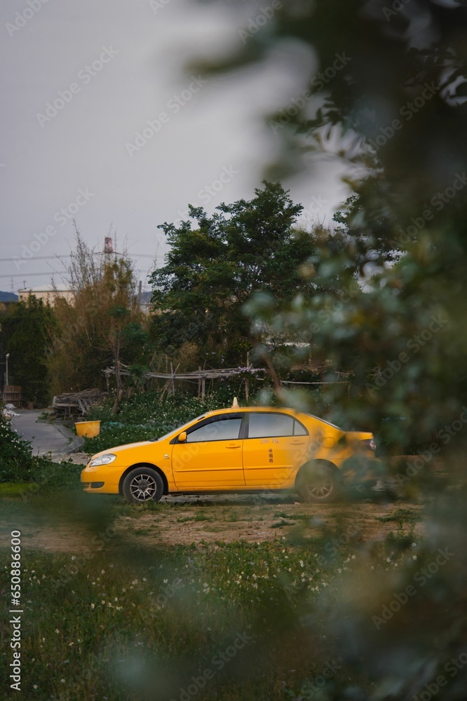 Fototapeta premium Yellow taxi vehicle parked in a rural area seen through plants
