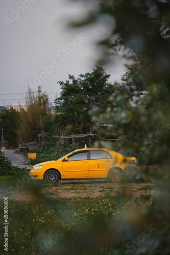Fototapeta Naklejka Na Ścianę i Meble -  Yellow taxi vehicle parked in a rural area seen through plants