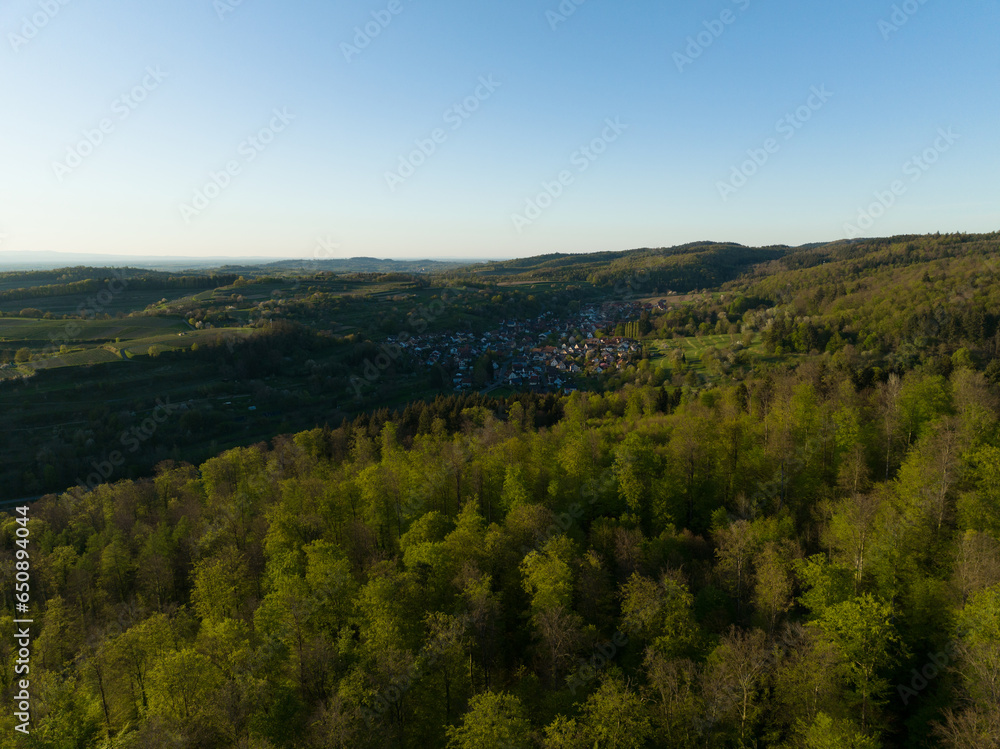 Mesmerizing view of the green landscape with dense trees and a village against a clear sky