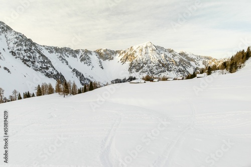 Majestic mountain landscape with fresh white snow covering its peak