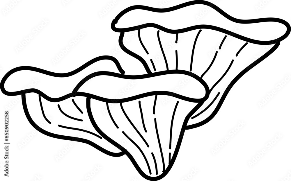 Mushroom outline, mushroom line art, mushroom Illustration 