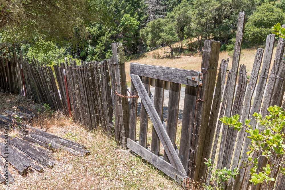 A wooden fence with a gate is in a country setting. The fence has lots of moss growing on it. There are trees behind the fence.