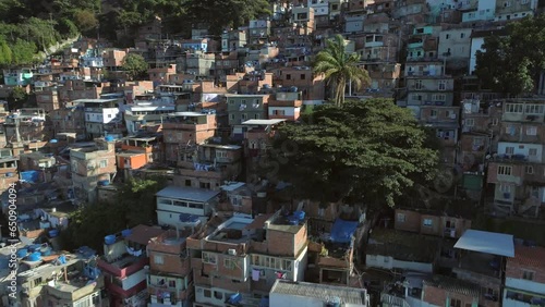 Aerial descending past palm tree surrounded by hilltop favela houses in Rio de Janeiro, Brazil photo